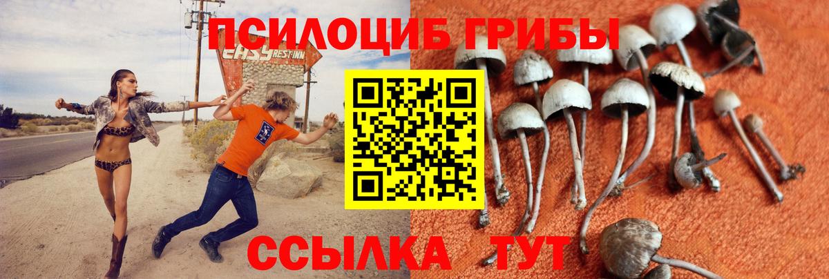Псилоцибиновые грибы MAGIC MUSHROOMS  Вход с VPN  Кизляр  цена наркотик  Псилоцибиновые грибы мицелий 